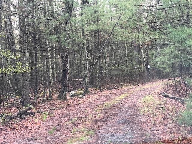 #2 photo, Eldred-Yulan Road, Eldred , NY 12528
