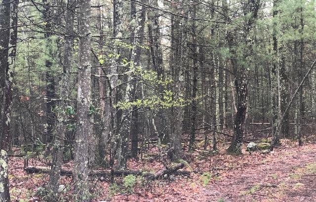 #3 photo, Eldred-Yulan Road, Eldred , NY 12528