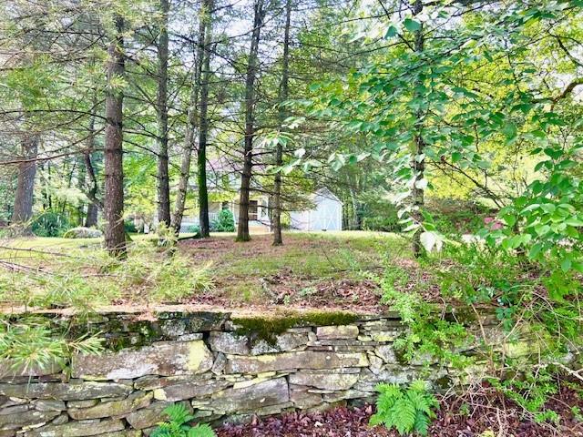 #15 photo, 3 Rennenberg Road, Eldred , NY 12743