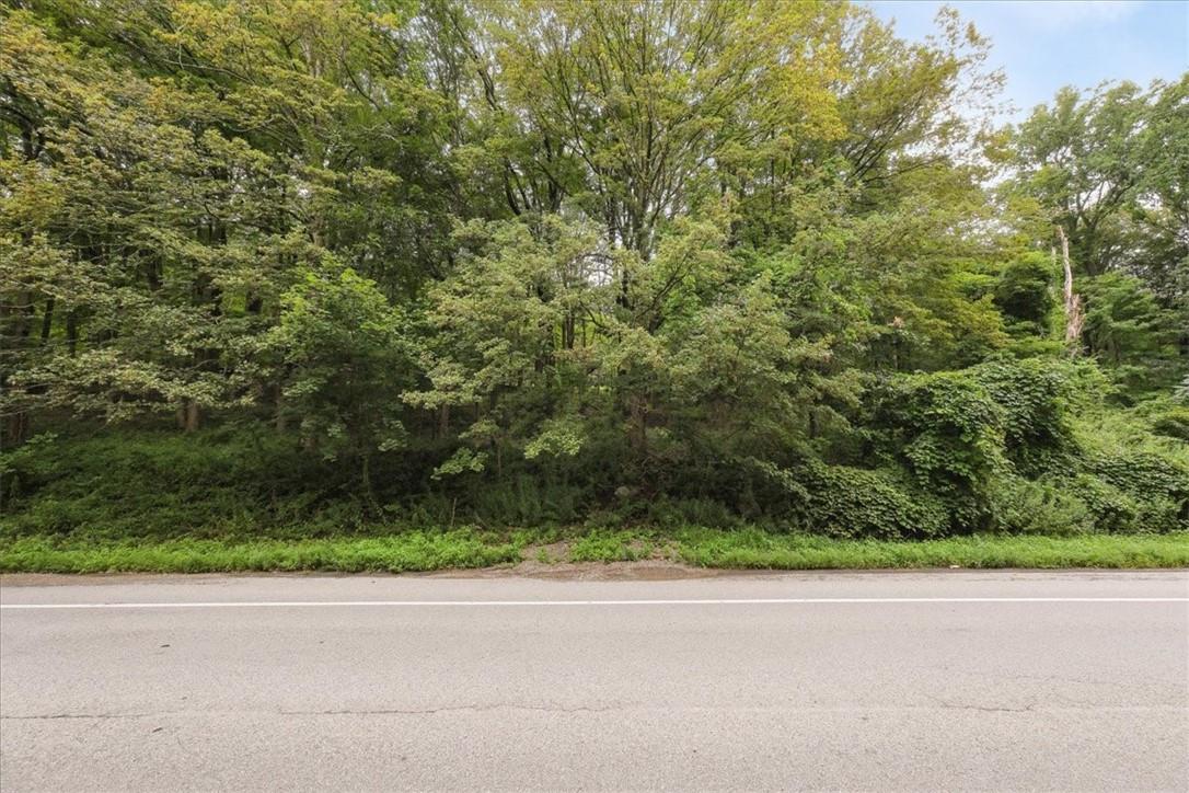 #10 photo, U. S. Route 9 (Albany Post), Garrison , NY 10516