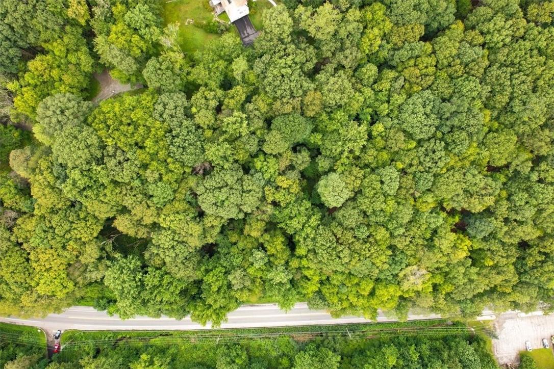 #9 photo, U. S. Route 9 (Albany Post), Garrison , NY 10516