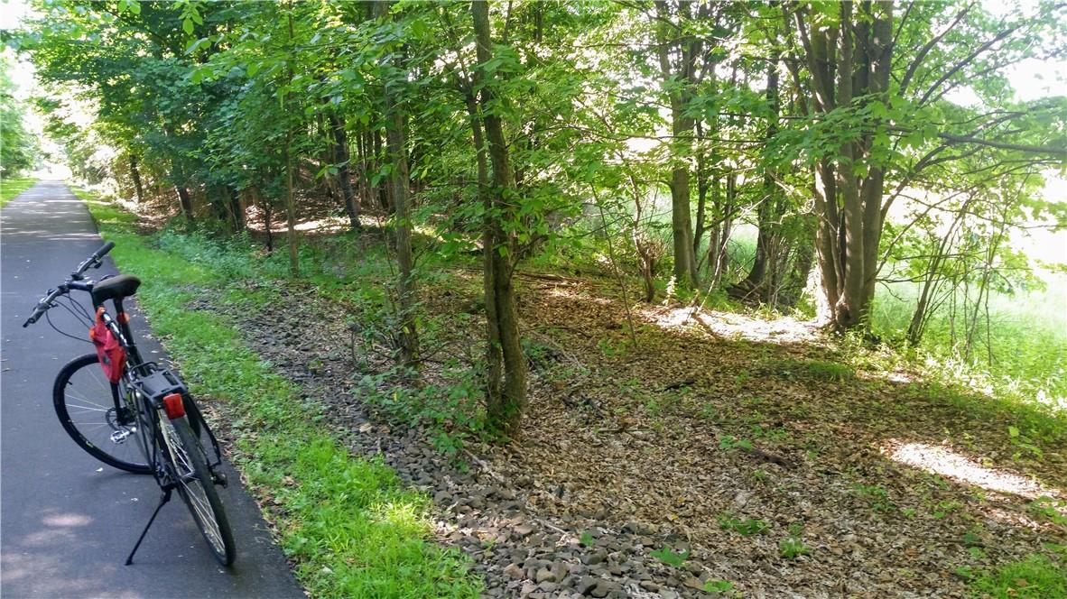 #19 photo, TBD Old Chester & Duck Farm Road, Goshen , NY 10924