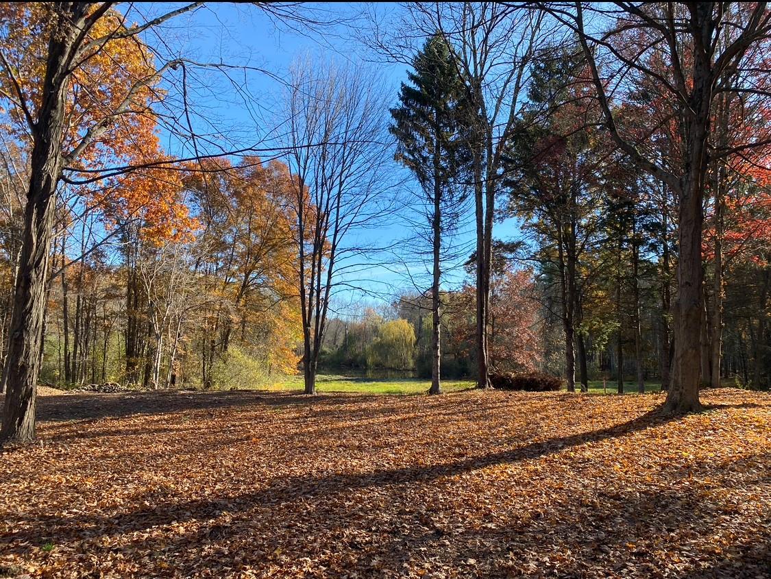 #5 photo, 64 Seaman Road, Middletown , NY 10941