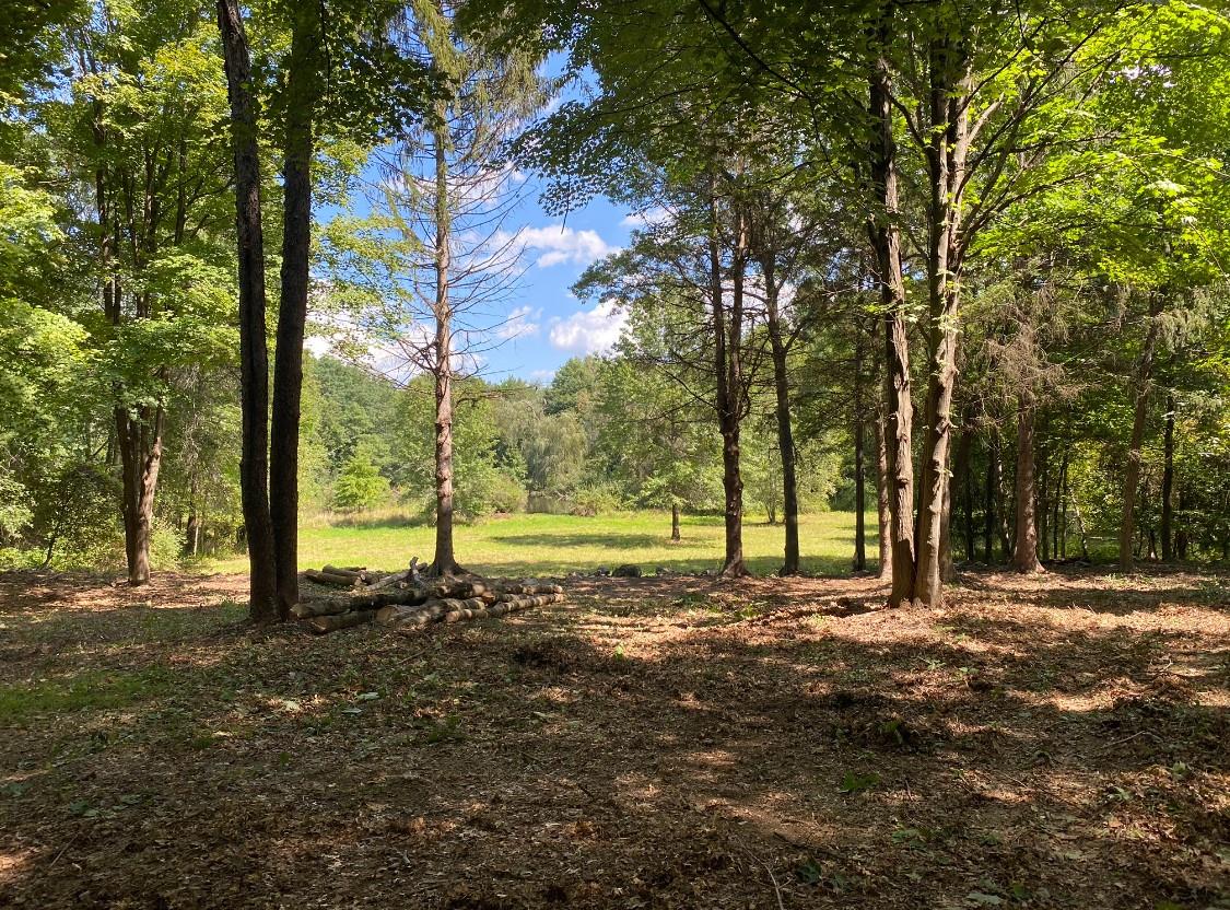 #7 photo, 64 Seaman Road, Middletown , NY 10941