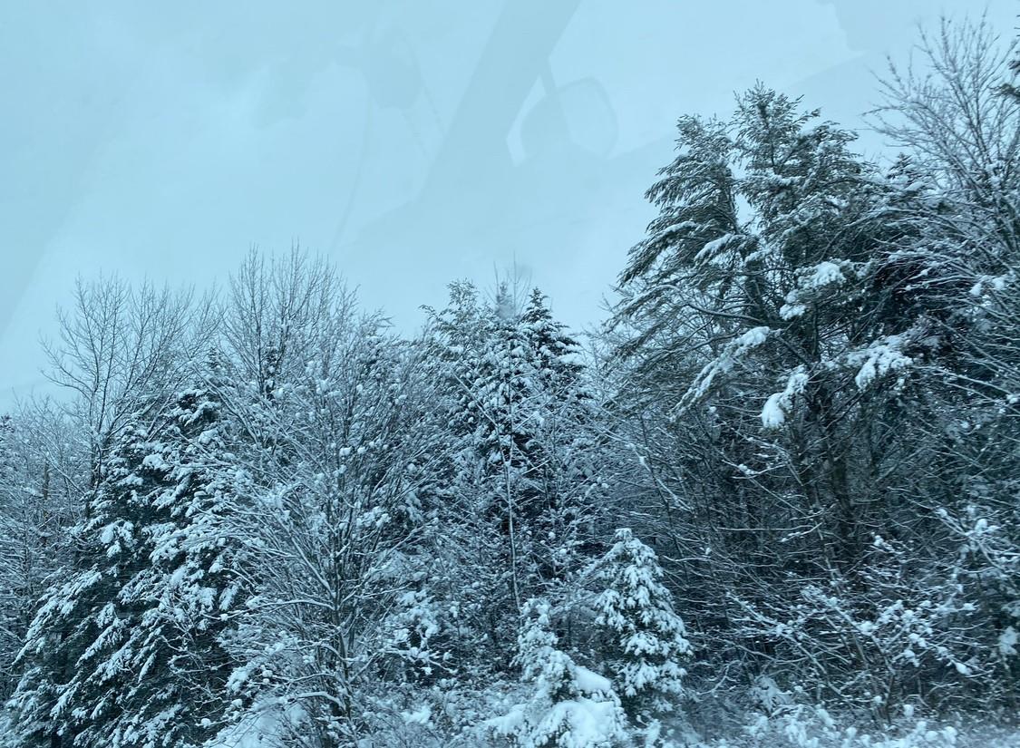 #8 photo, 64 Seaman Road, Middletown , NY 10941