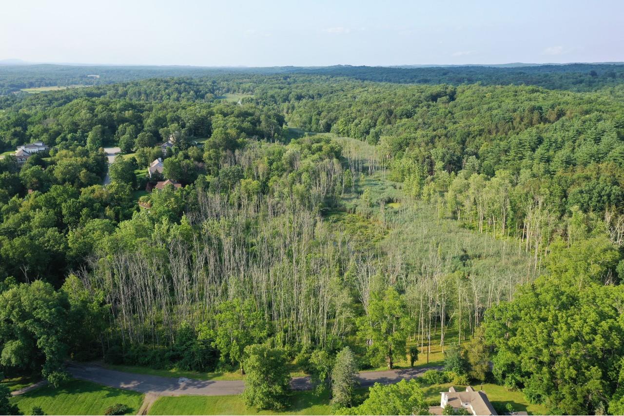 #2 photo, 2 Nichris Lane, Staatsburg , NY 12580