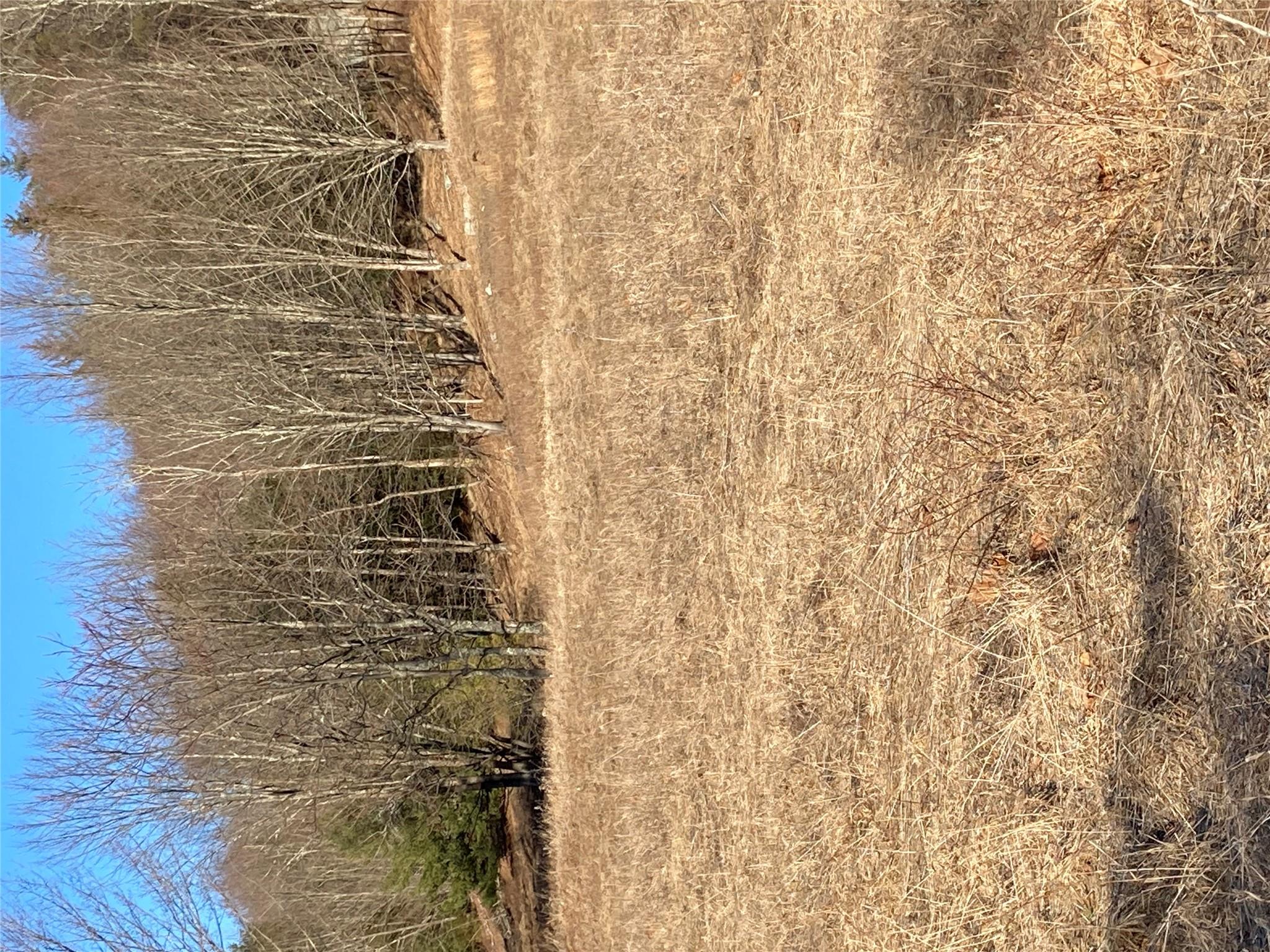 #16 photo, South Gully / Mt Meenagha S Gully, Cragsmoor , NY 12420