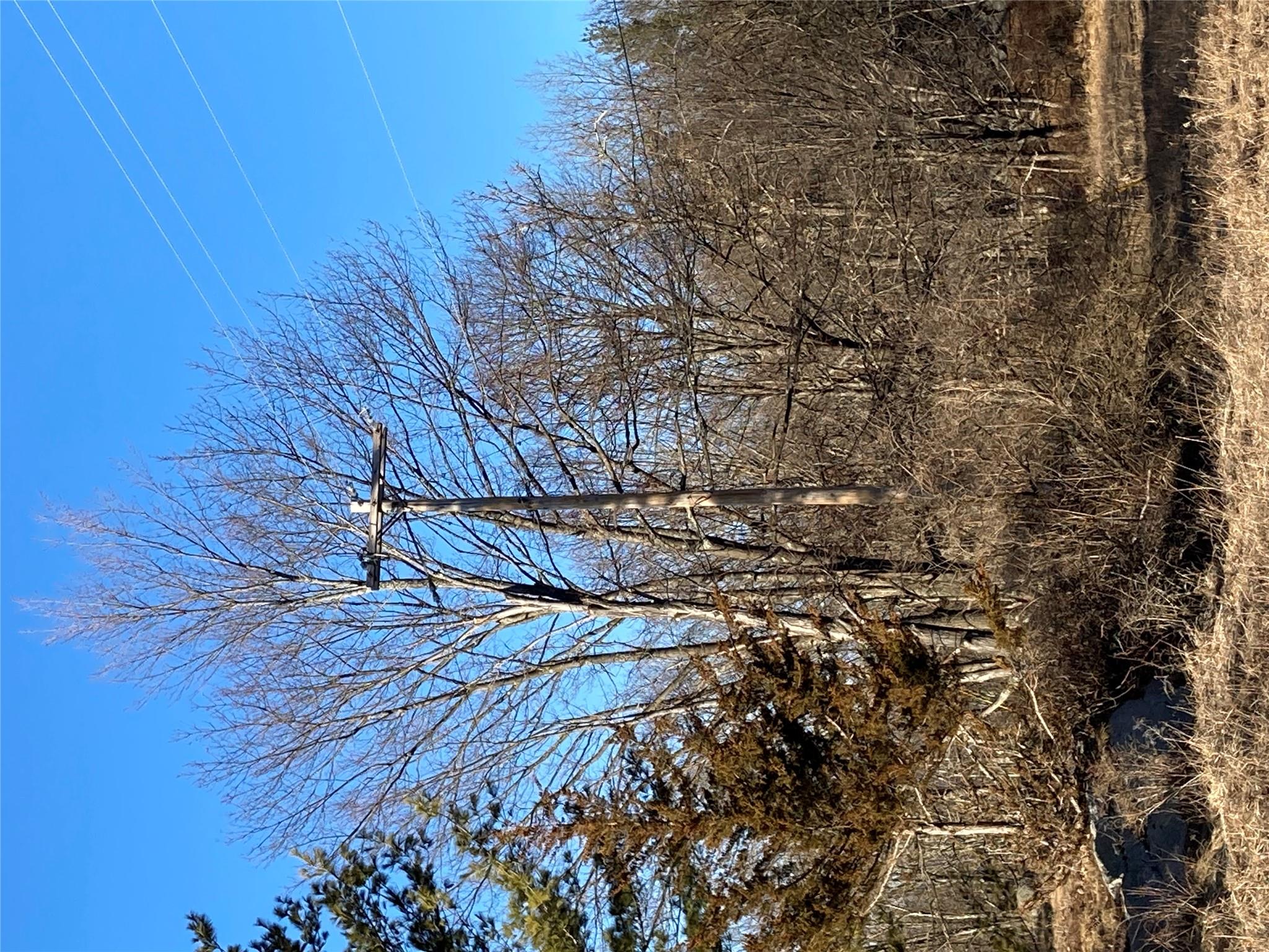 #17 photo, South Gully / Mt Meenagha S Gully, Cragsmoor , NY 12420