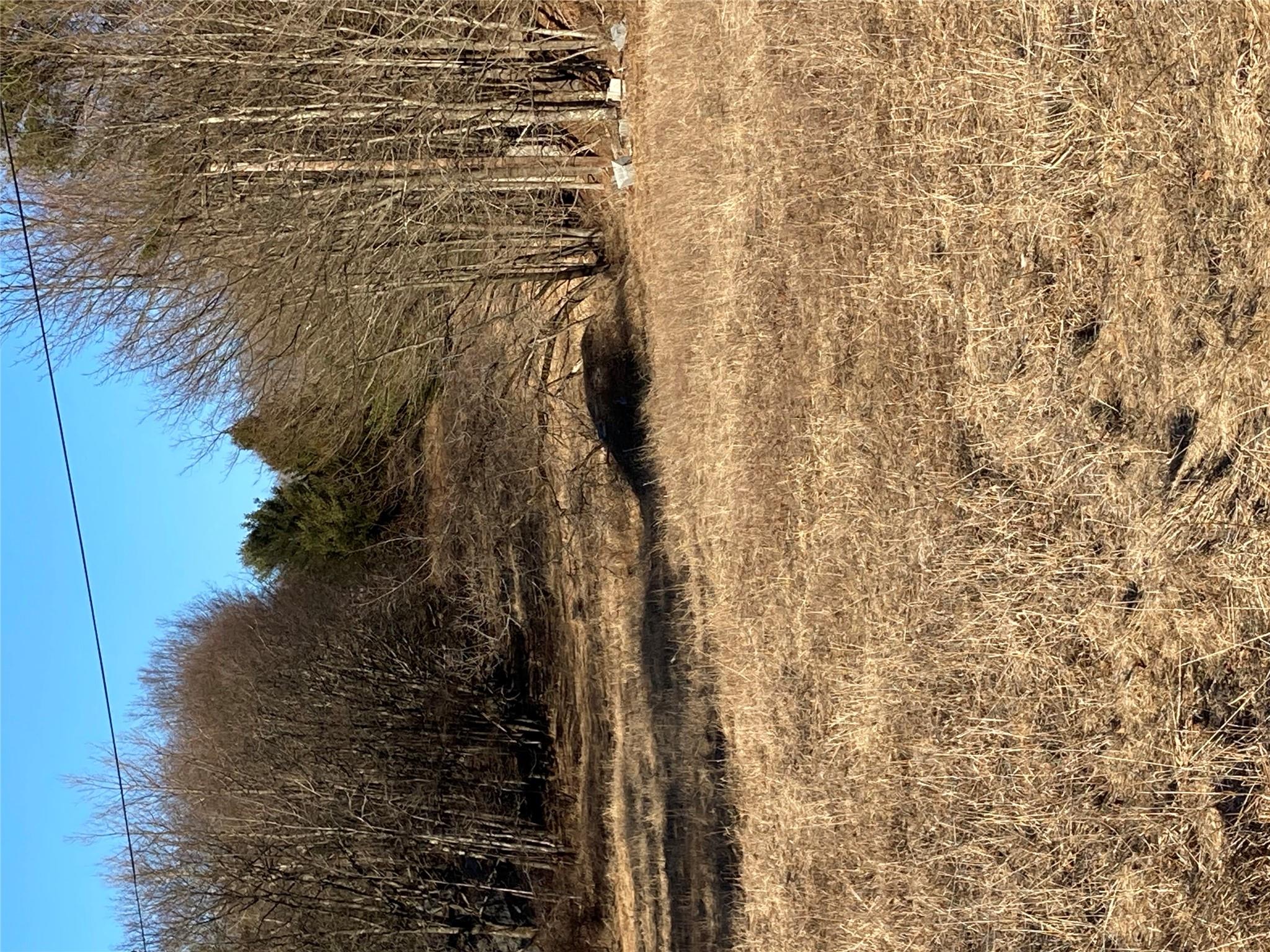 #18 photo, South Gully / Mt Meenagha S Gully, Cragsmoor , NY 12420