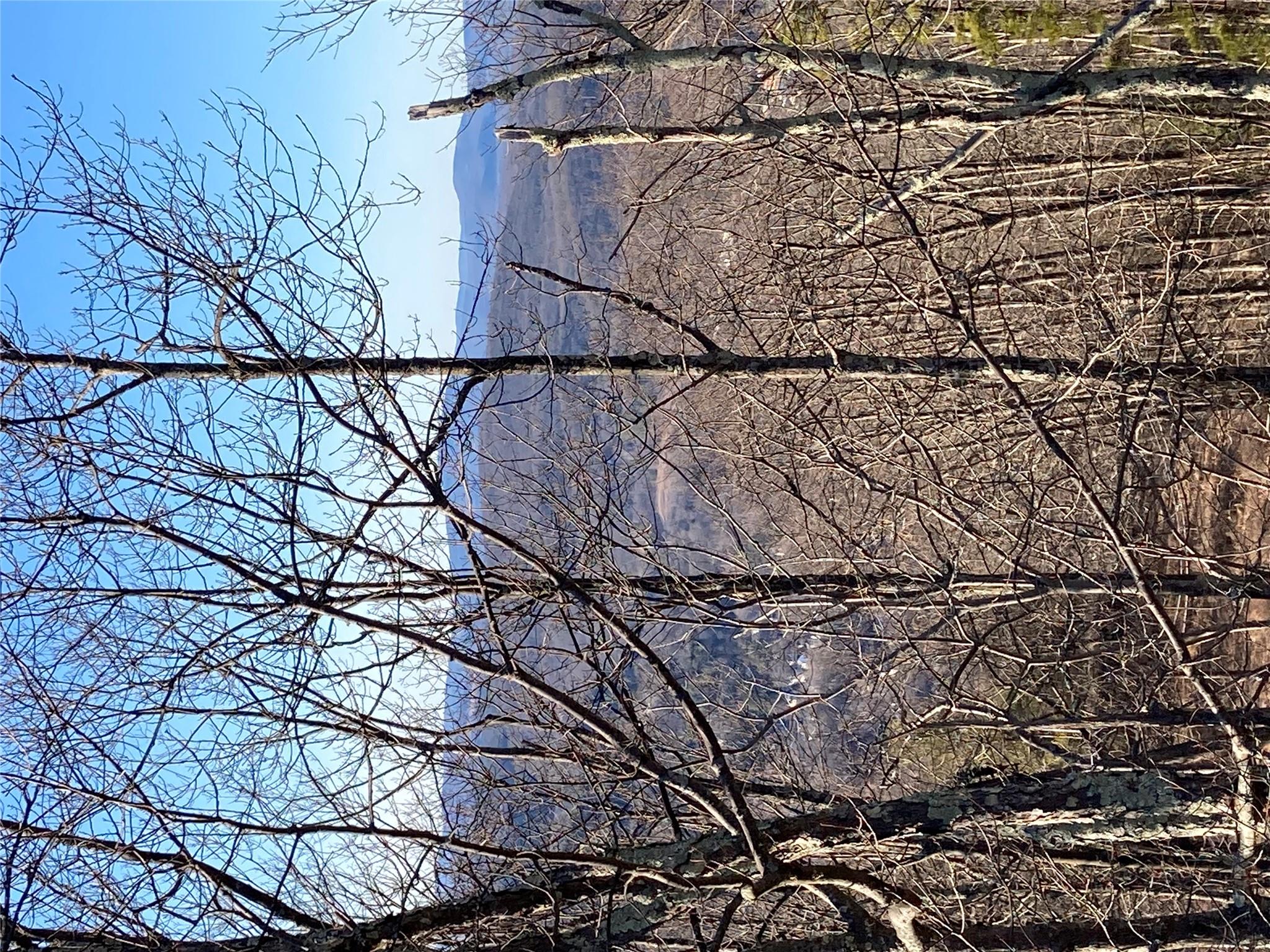 #19 photo, South Gully / Mt Meenagha S Gully, Cragsmoor , NY 12420