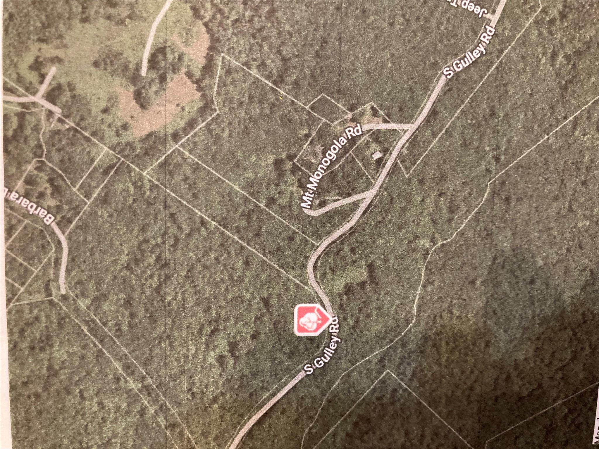 #2 photo, South Gully / Mt Meenagha S Gully, Cragsmoor , NY 12420