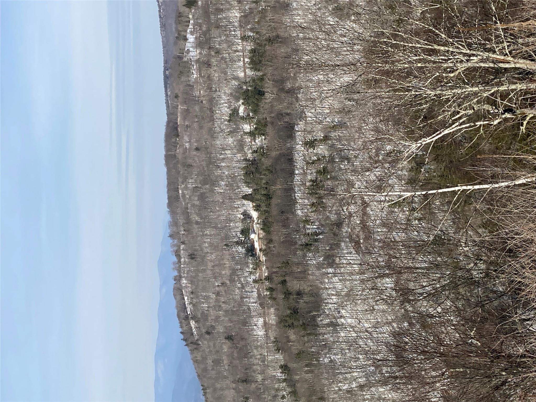 #9 photo, South Gully / Mt Meenagha S Gully, Cragsmoor , NY 12420