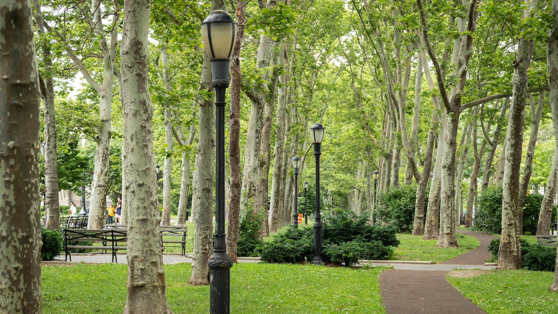 #17 photo, 75 HENRY Street, ブルックリン区 Brooklyn Heights , NY 11201