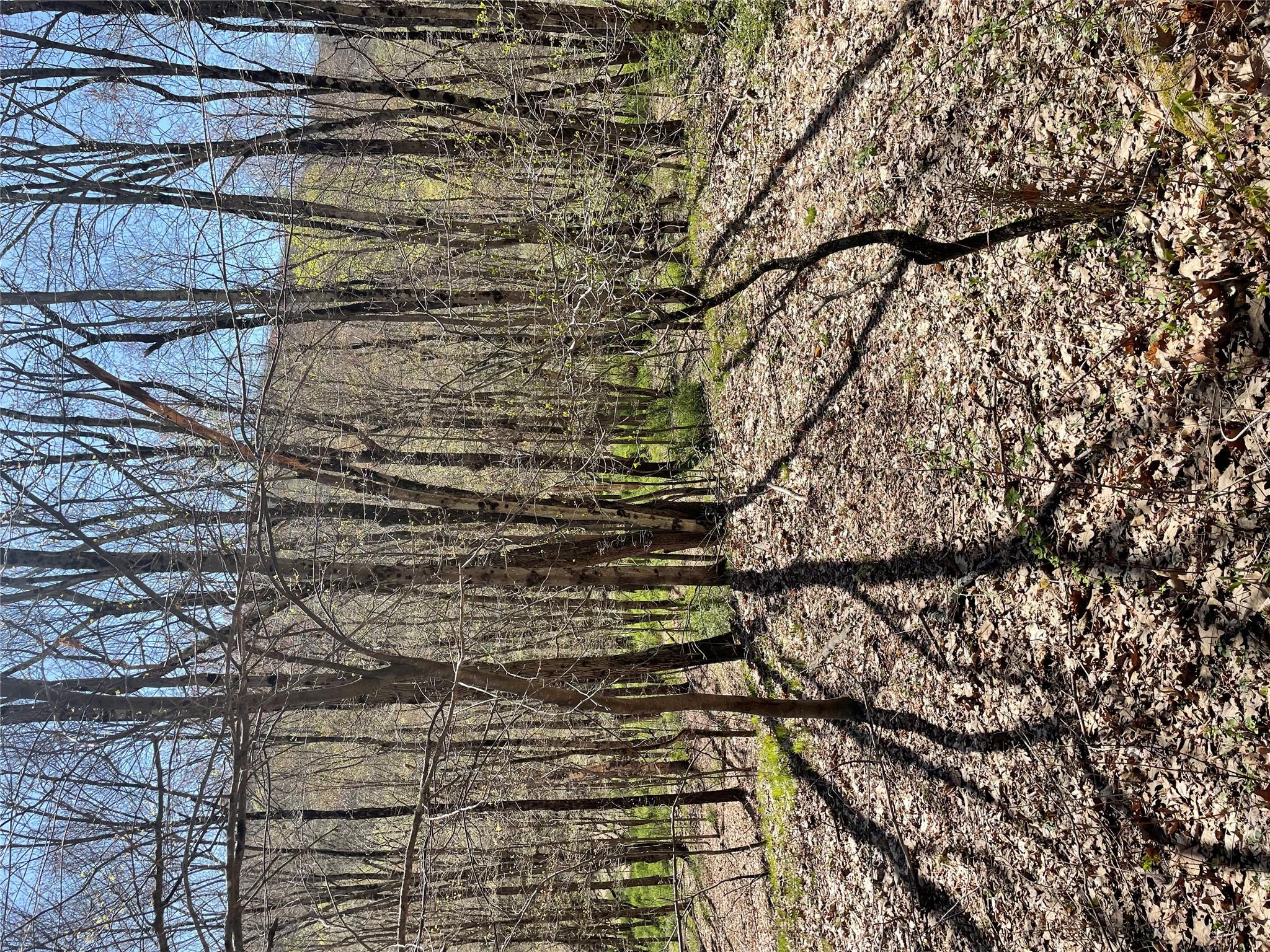 #3 photo, Whippoorwill Rd., Hillsdale , NY 