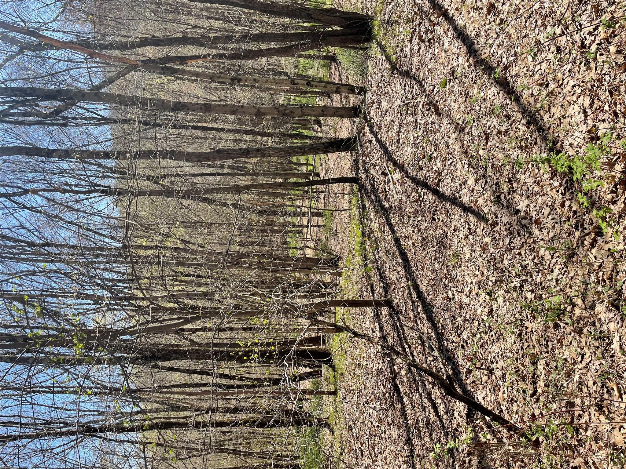 #5 photo, Whippoorwill Rd., Hillsdale , NY 