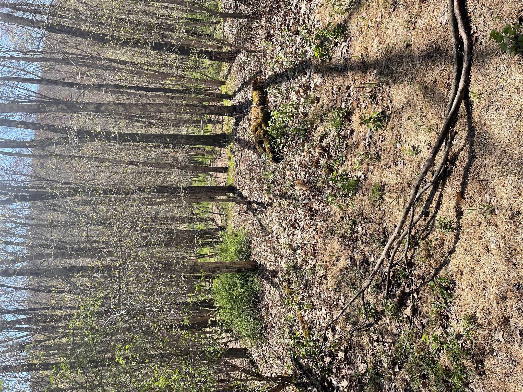 #7 photo, Whippoorwill Rd., Hillsdale , NY 