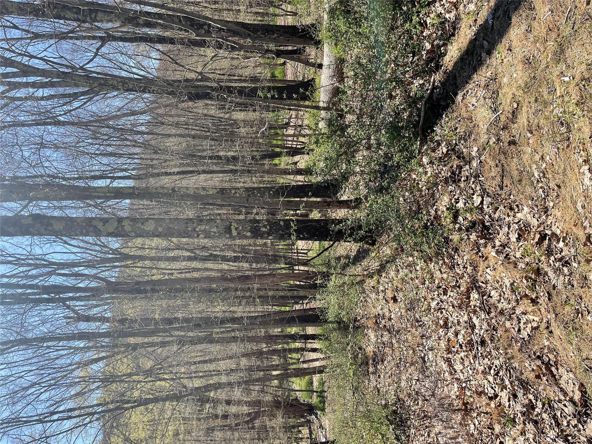 #8 photo, Whippoorwill Rd., Hillsdale , NY 