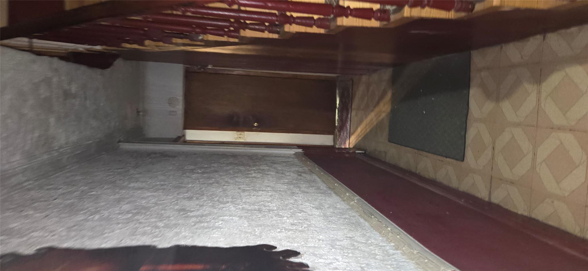 #4 photo, 495 Halsey Street, 布鲁克林 Brooklyn , NY 11233