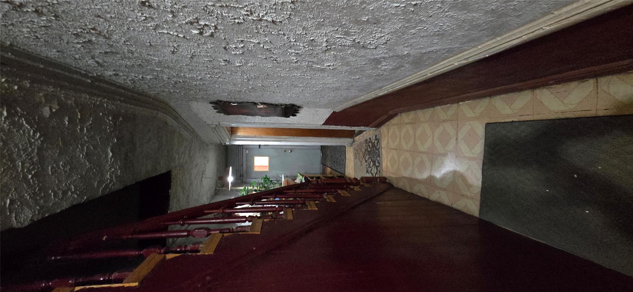 #5 photo, 495 Halsey Street, 布鲁克林 Brooklyn , NY 11233