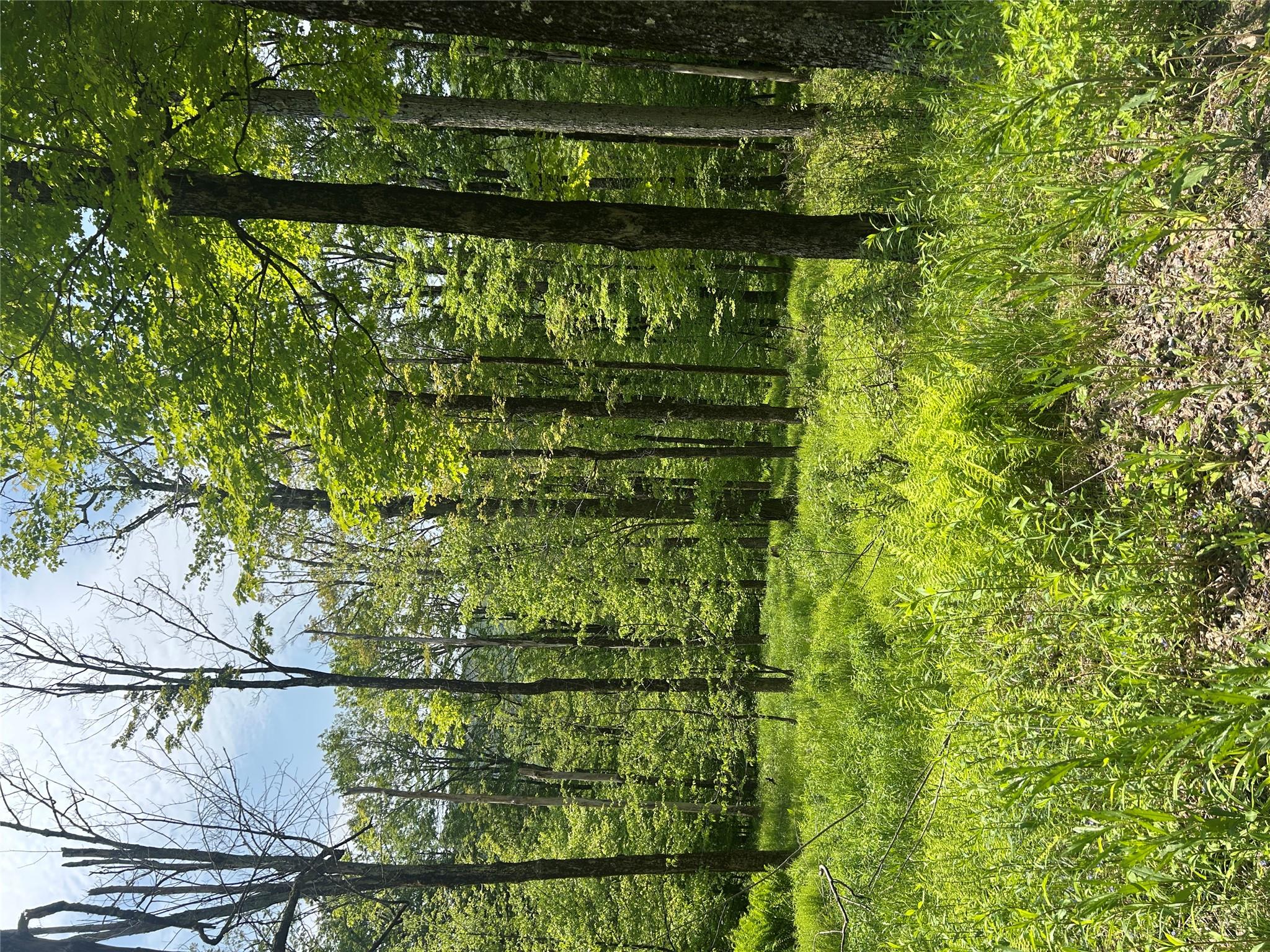 #10 photo, TBD High Meadow Road, Lew Beach , NY 12758