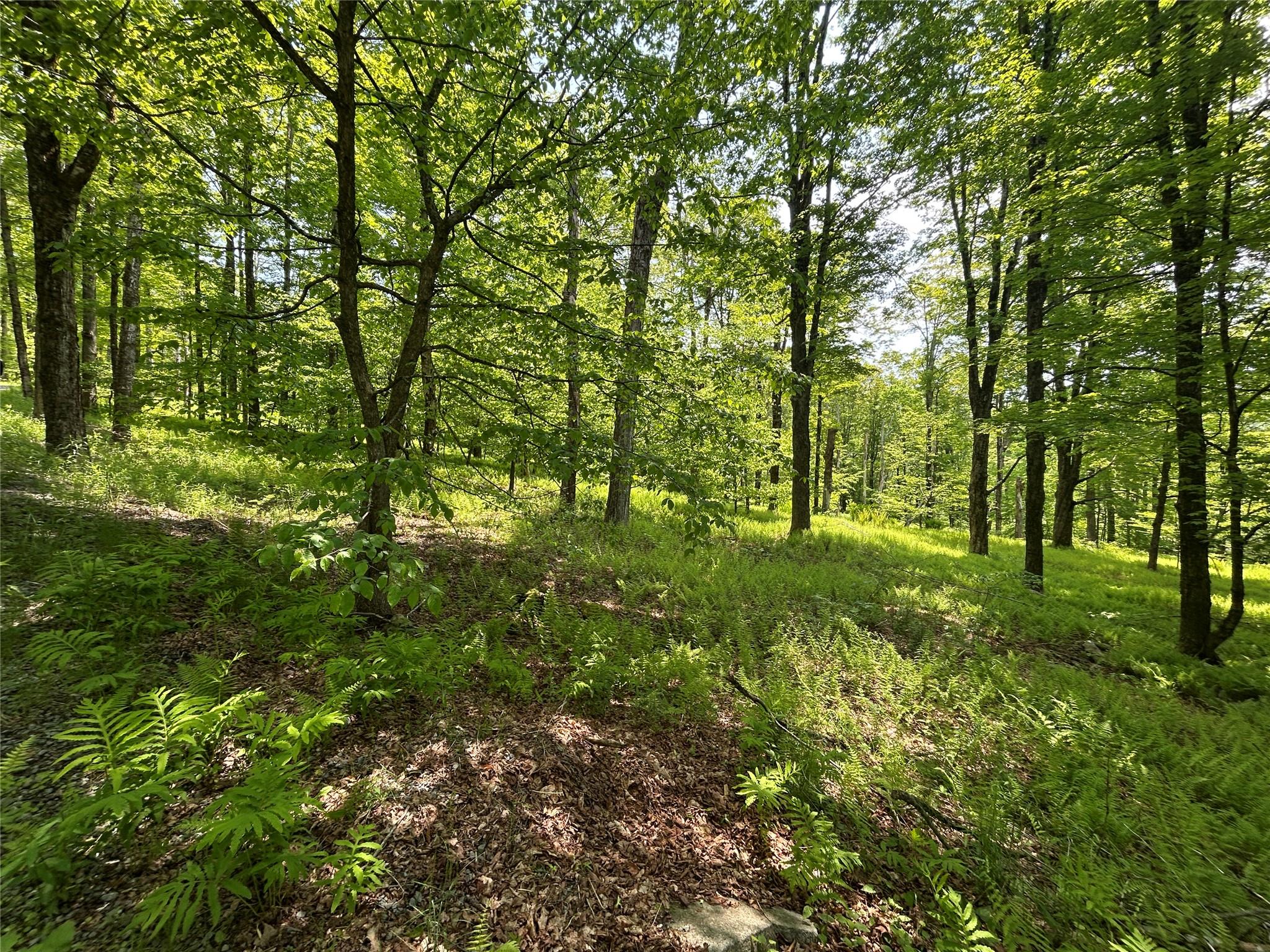 #11 photo, TBD High Meadow Road, Lew Beach , NY 12758