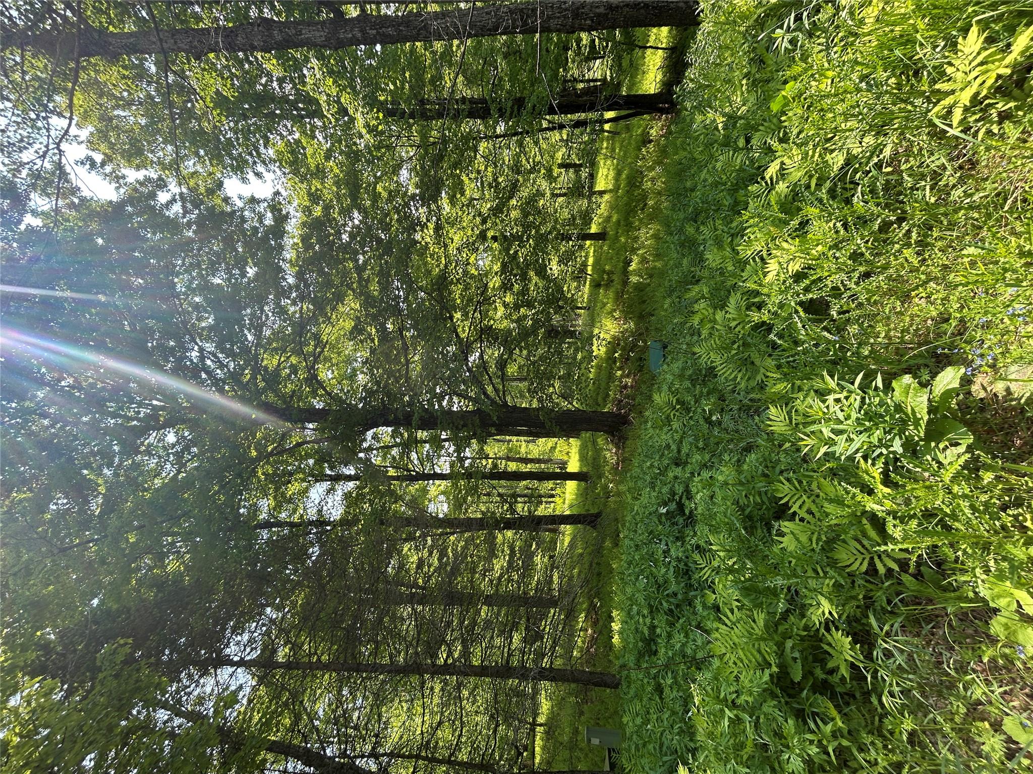 #12 photo, TBD High Meadow Road, Lew Beach , NY 12758