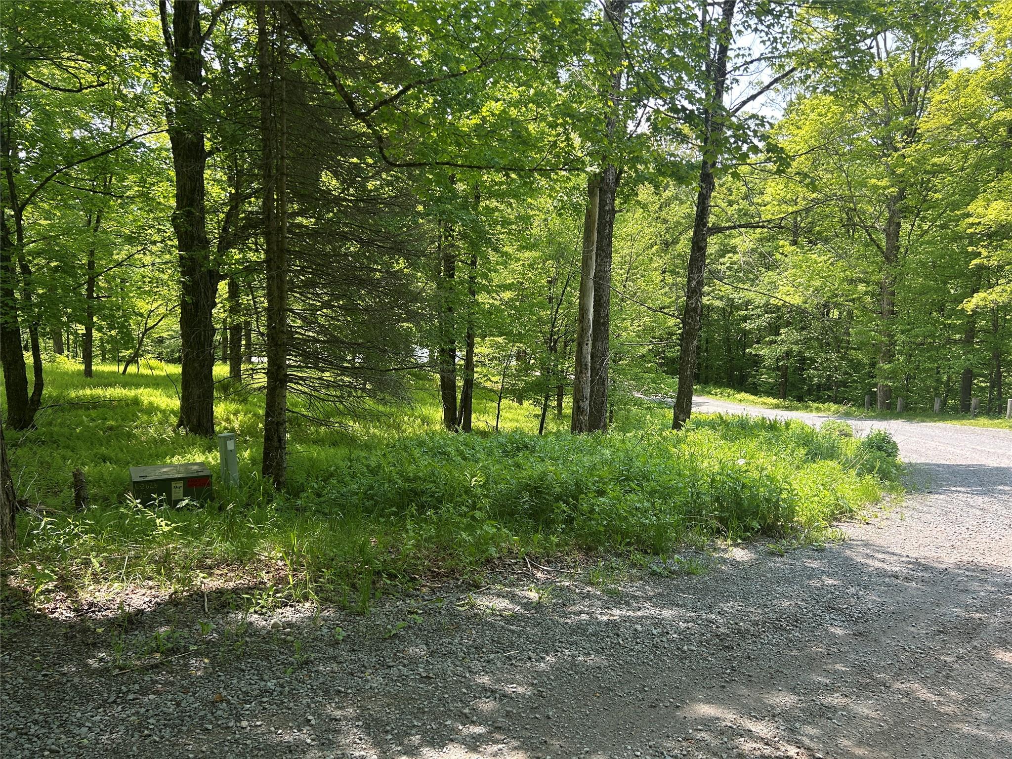 #14 photo, TBD High Meadow Road, Lew Beach , NY 12758