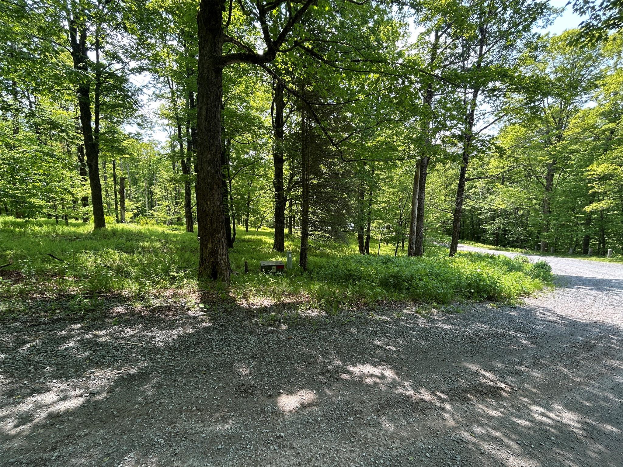 #15 photo, TBD High Meadow Road, Lew Beach , NY 12758