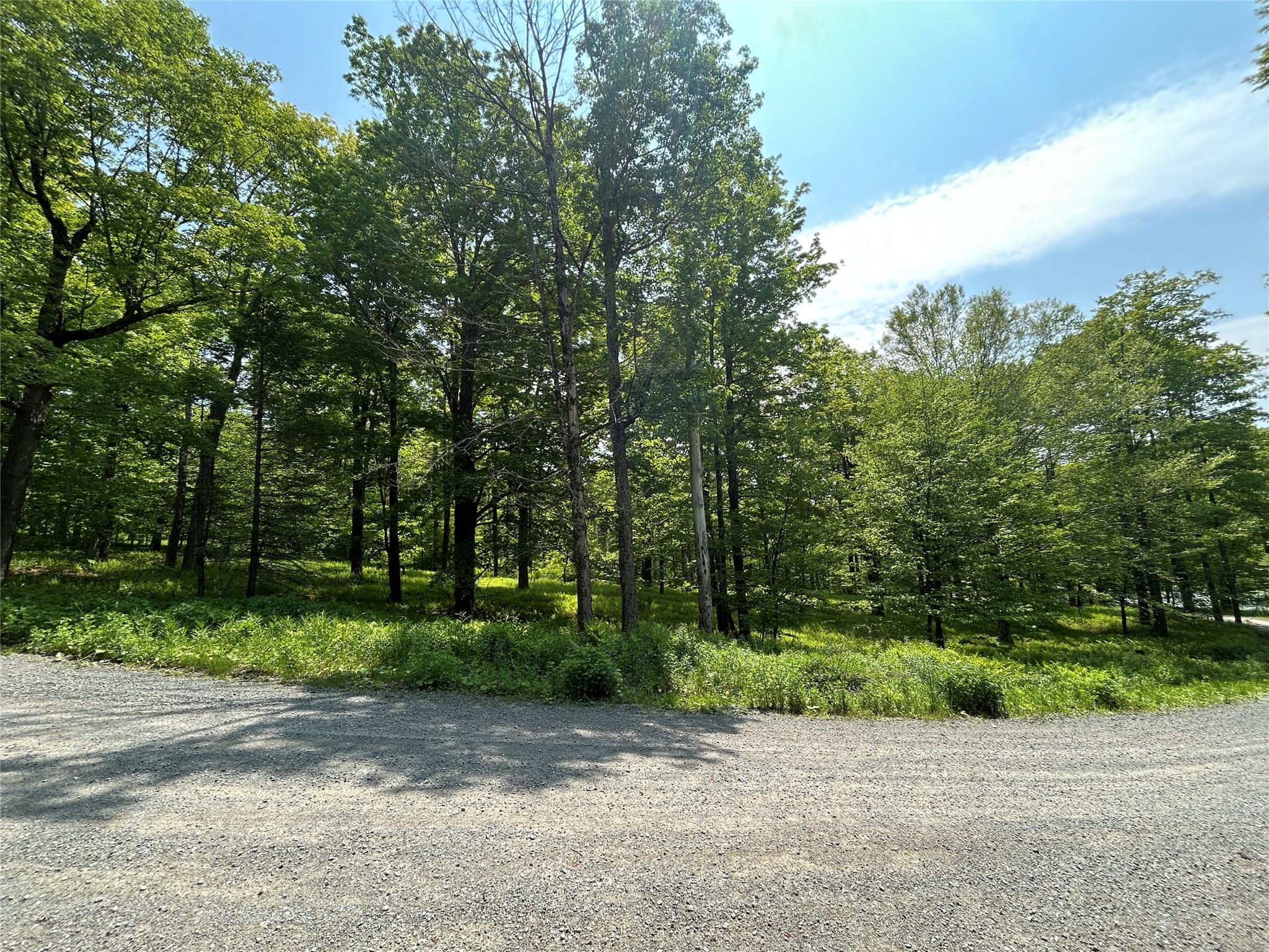 #16 photo, TBD High Meadow Road, Lew Beach , NY 12758