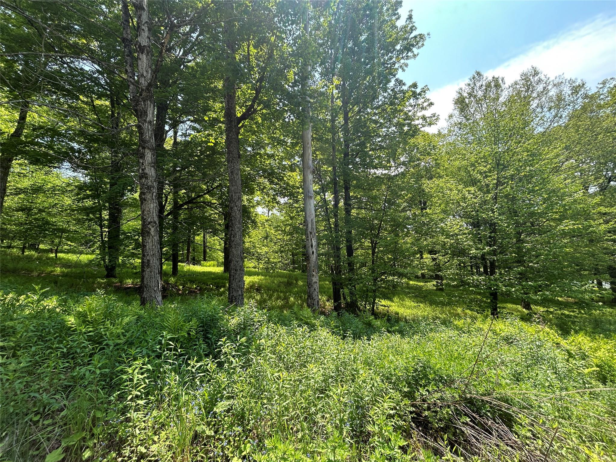 #17 photo, TBD High Meadow Road, Lew Beach , NY 12758