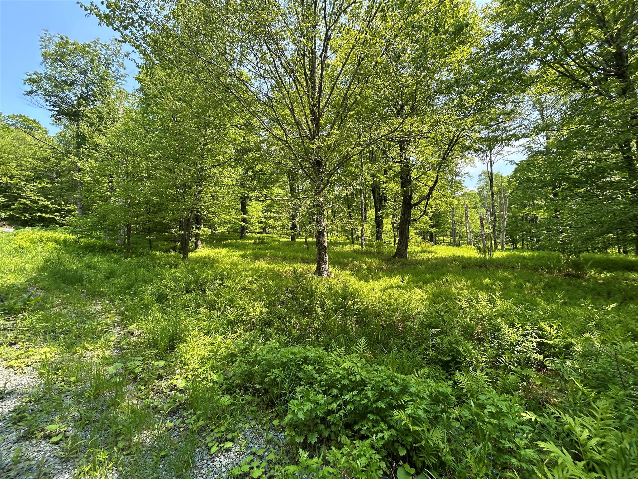 #18 photo, TBD High Meadow Road, Lew Beach , NY 12758