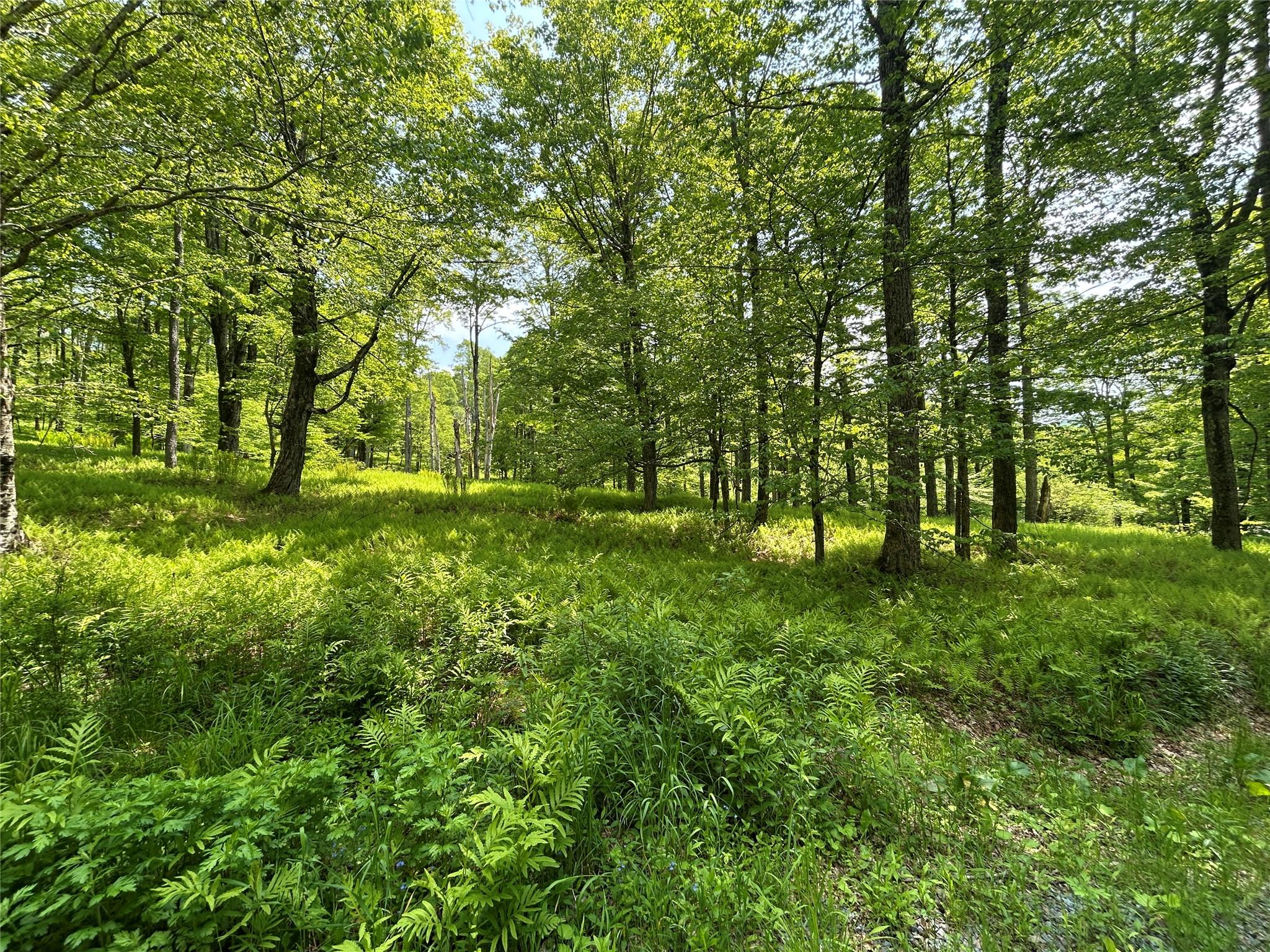 #19 photo, TBD High Meadow Road, Lew Beach , NY 12758