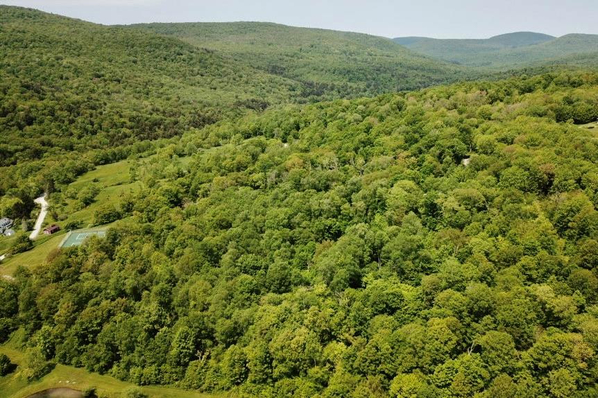 #2 photo, TBD High Meadow Road, Lew Beach , NY 12758