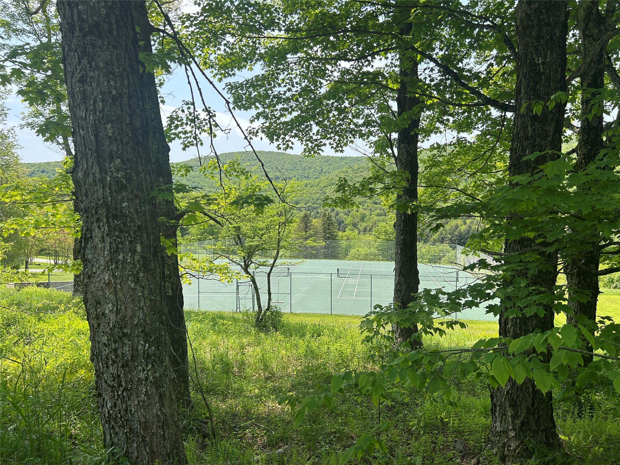 #20 photo, TBD High Meadow Road, Lew Beach , NY 12758