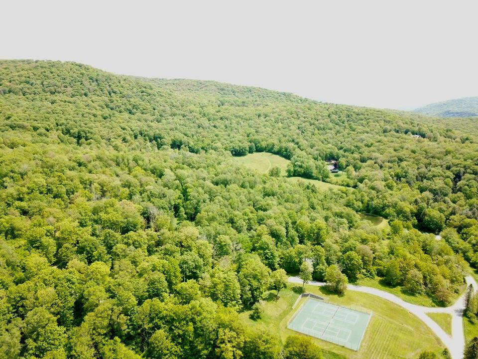 #5 photo, TBD High Meadow Road, Lew Beach , NY 12758