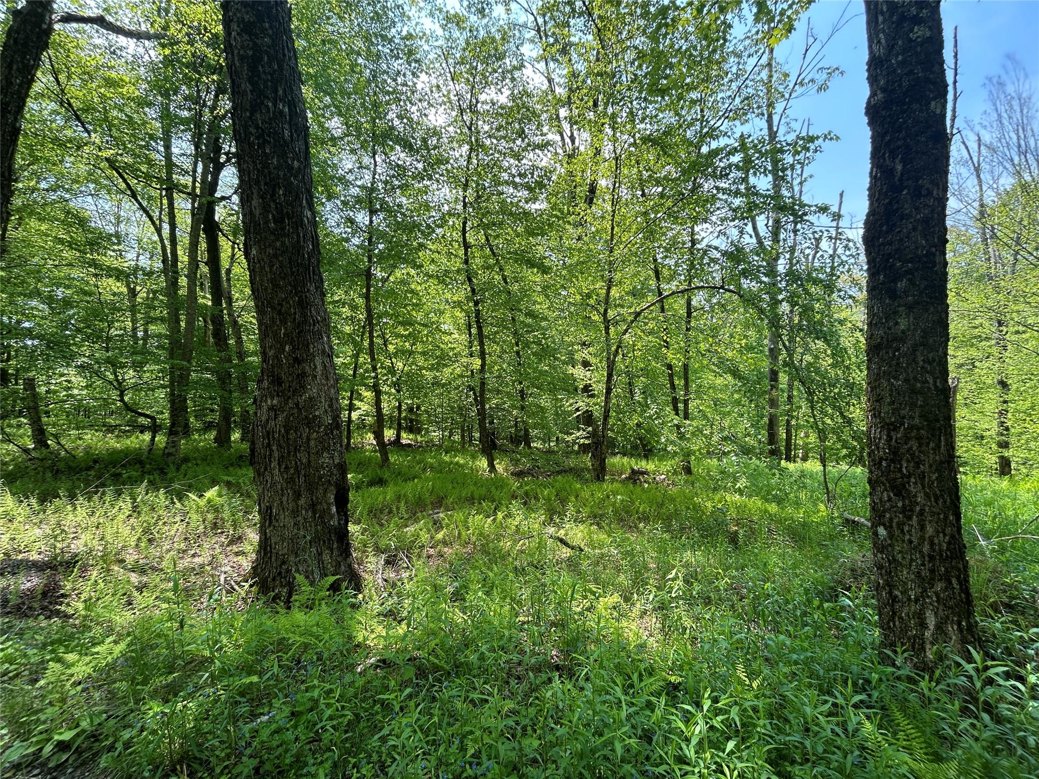 #7 photo, TBD High Meadow Road, Lew Beach , NY 12758