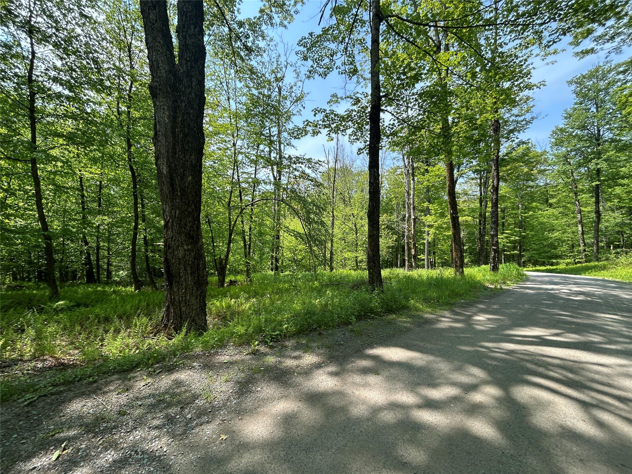 #8 photo, TBD High Meadow Road, Lew Beach , NY 12758