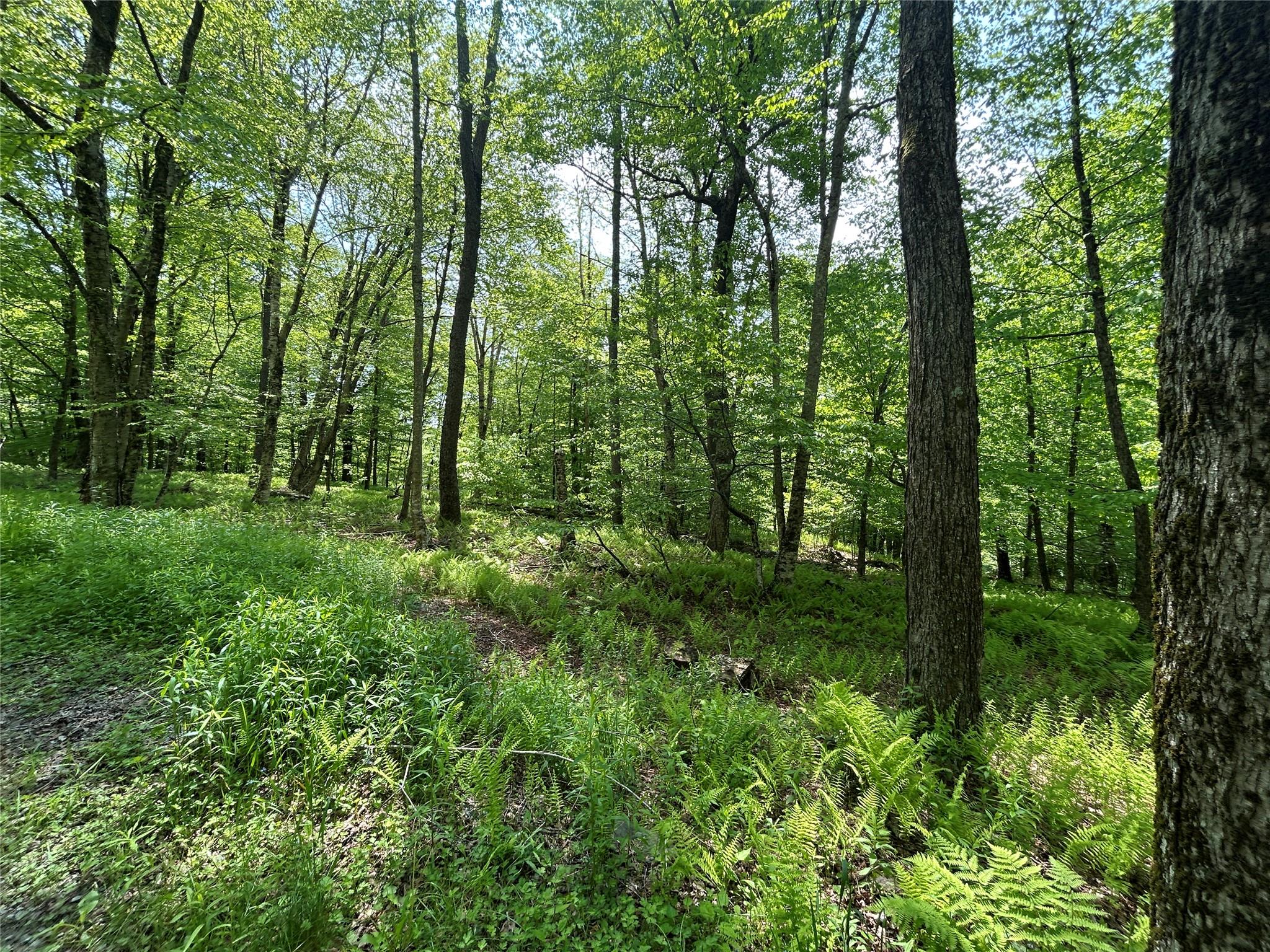 #9 photo, TBD High Meadow Road, Lew Beach , NY 12758