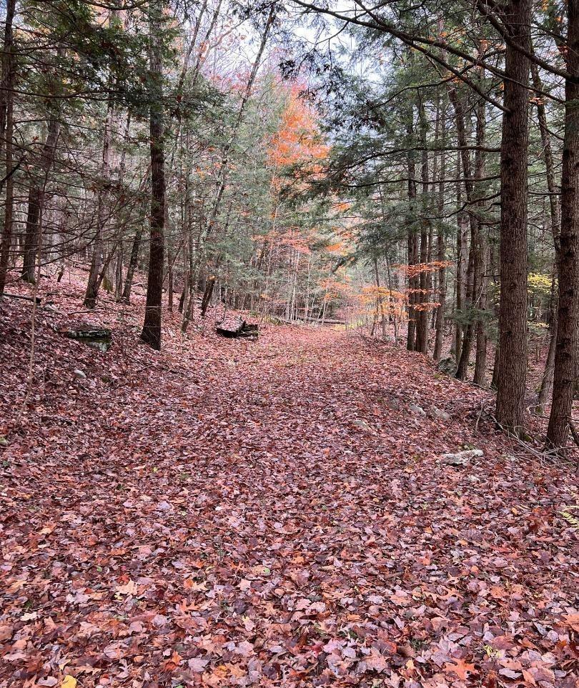 #10 photo, 91 Laurie Lane, Call Listing Agent , NY 12413