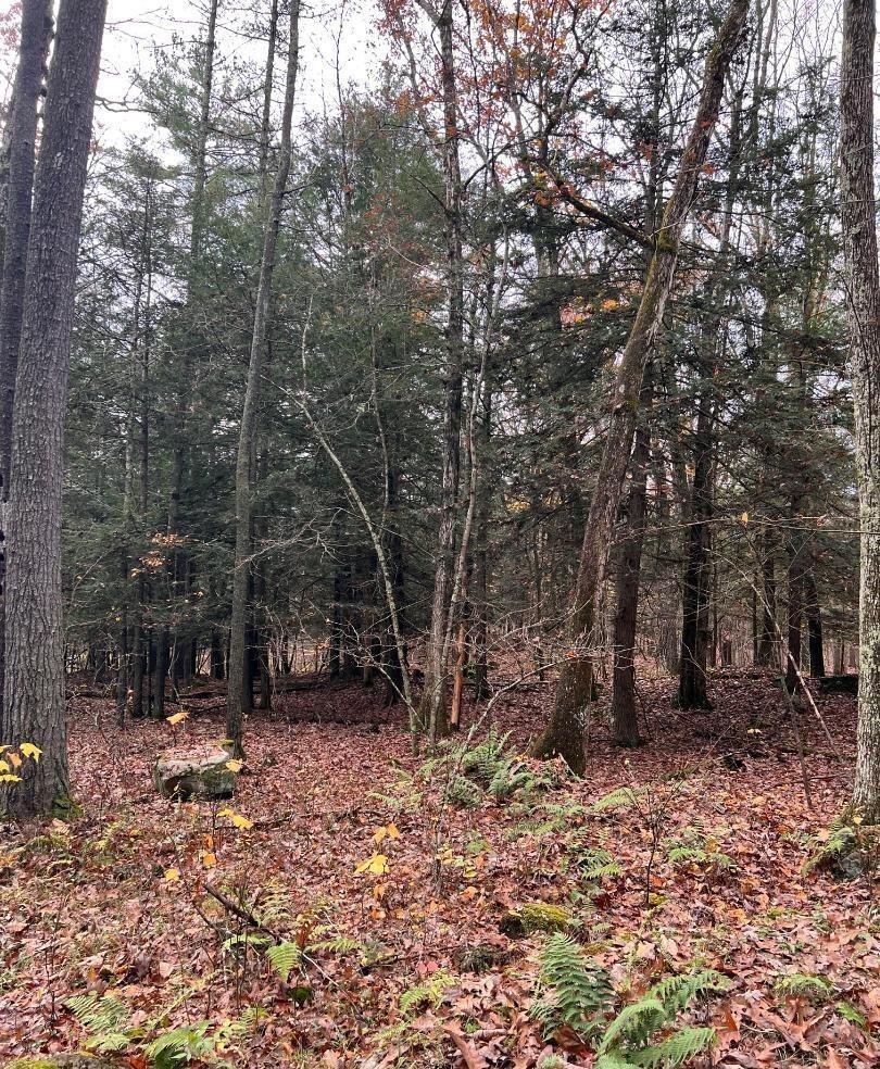 #12 photo, 91 Laurie Lane, Call Listing Agent , NY 12413