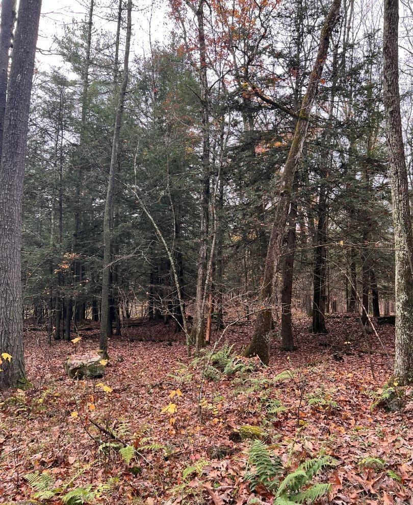 #13 photo, 91 Laurie Lane, Call Listing Agent , NY 12413