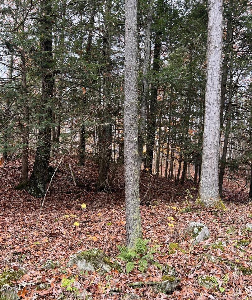 #15 photo, 91 Laurie Lane, Call Listing Agent , NY 12413