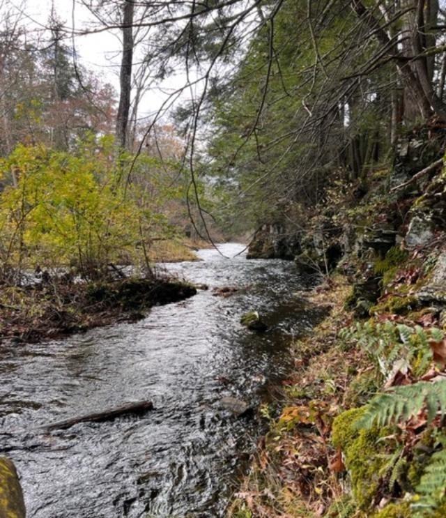 #3 photo, 91 Laurie Lane, Call Listing Agent , NY 12413