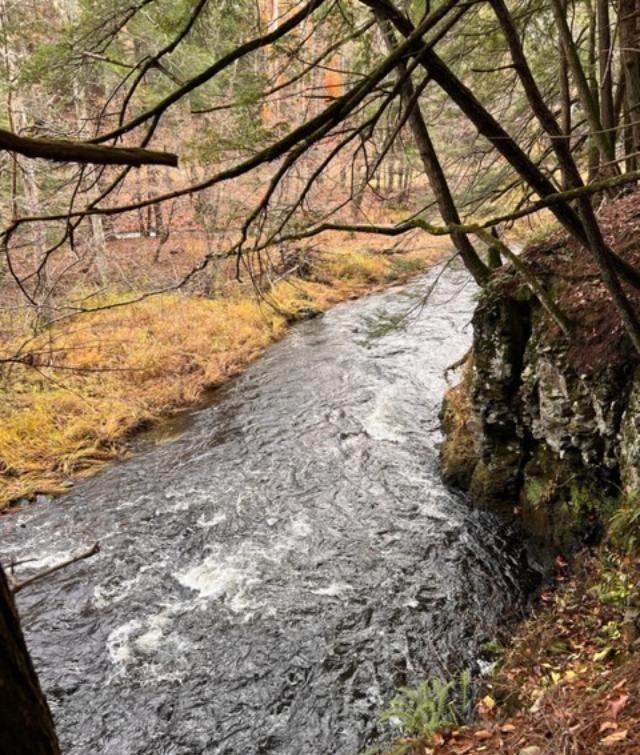 #4 photo, 91 Laurie Lane, Call Listing Agent , NY 12413