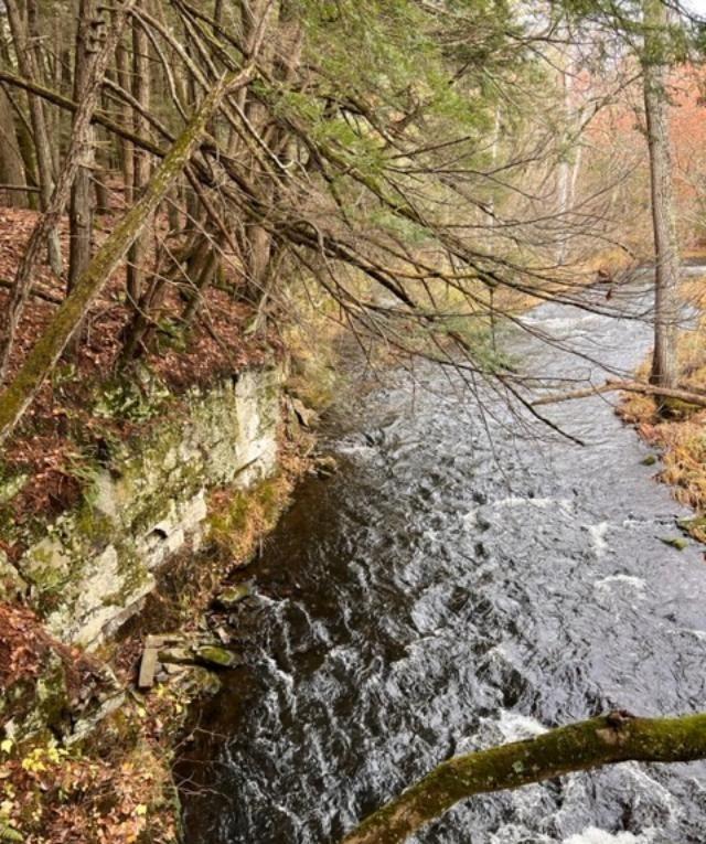 #5 photo, 91 Laurie Lane, Call Listing Agent , NY 12413