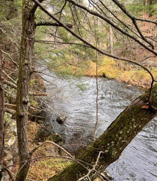 #6 photo, 91 Laurie Lane, Call Listing Agent , NY 12413