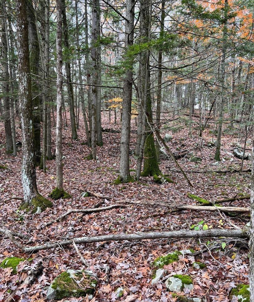 #8 photo, 91 Laurie Lane, Call Listing Agent , NY 12413