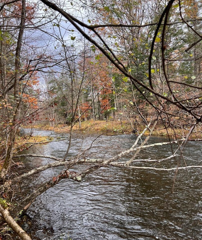 #9 photo, 91 Laurie Lane, Call Listing Agent , NY 12413