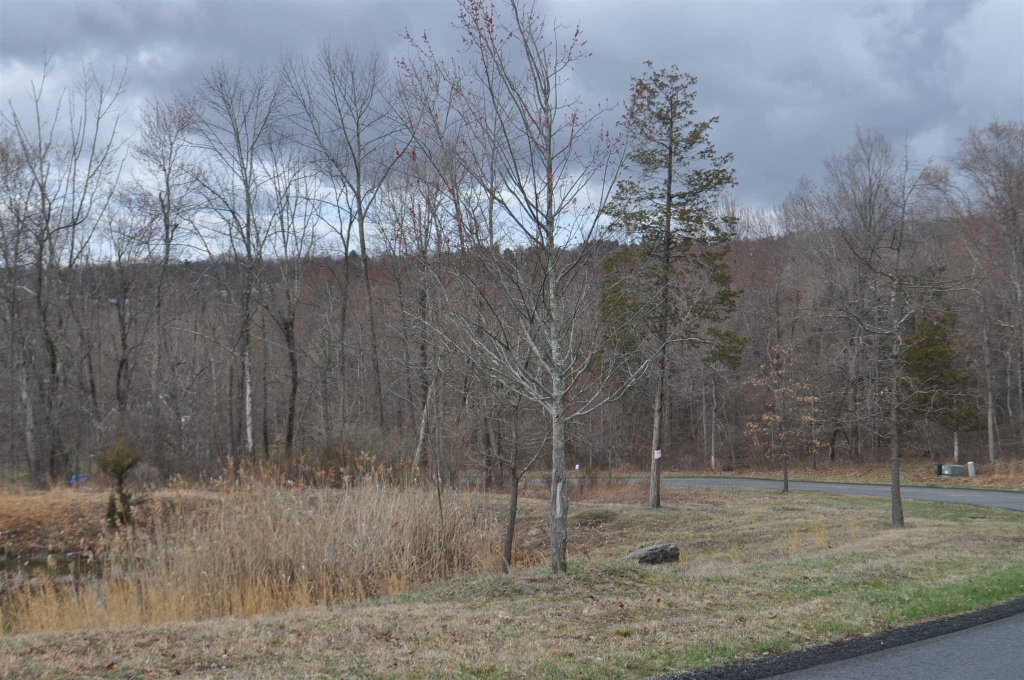 #7 photo, Stonecrest Lot #19 Court, Hopewell Junction , NY 12533