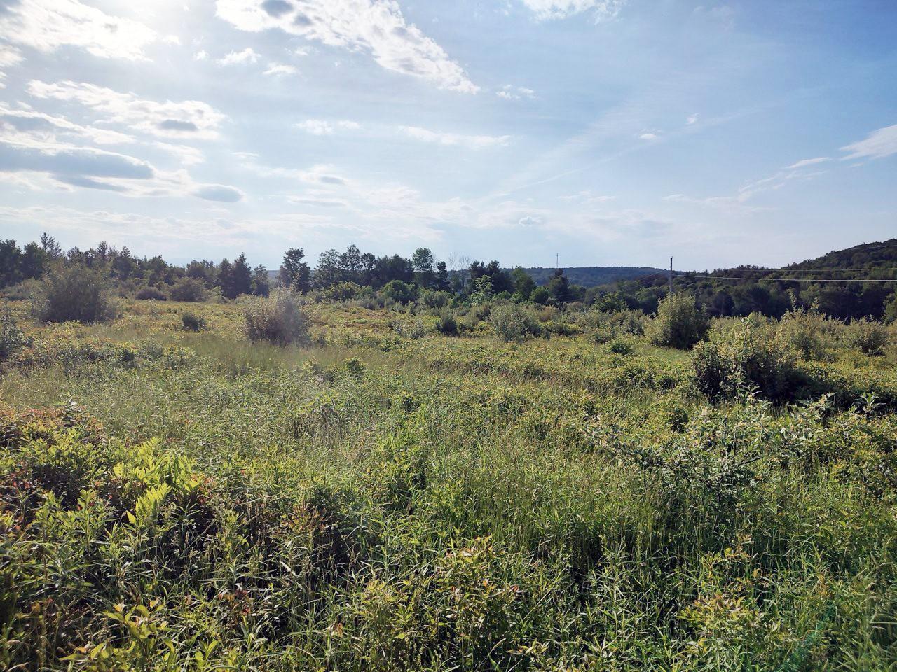 #10 photo, Manor Rock Road, Craryville , NY 12523